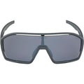 Lunettes de soleil Homme Alpina A8687321