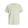 Herren Kurzarm-T-Shirt Jack & Jones JORVARENNA BRANDING TEE grün