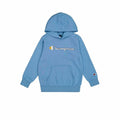 Herren Sweater mit Kapuze Champion
