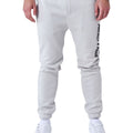 Trainingshose Project X Paris PROJECT JOGGING 2544058 LS Grau Herren