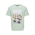 T-shirt à manches courtes homme Only & Sons Onskolton Reg Beach Surf Vert